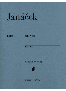 Im Nebel